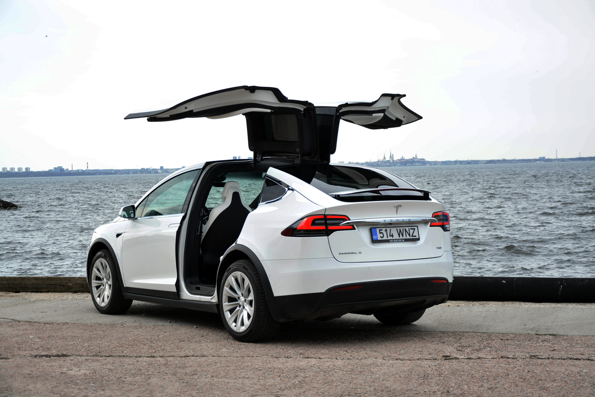 Beast Tesla Model X Road trip