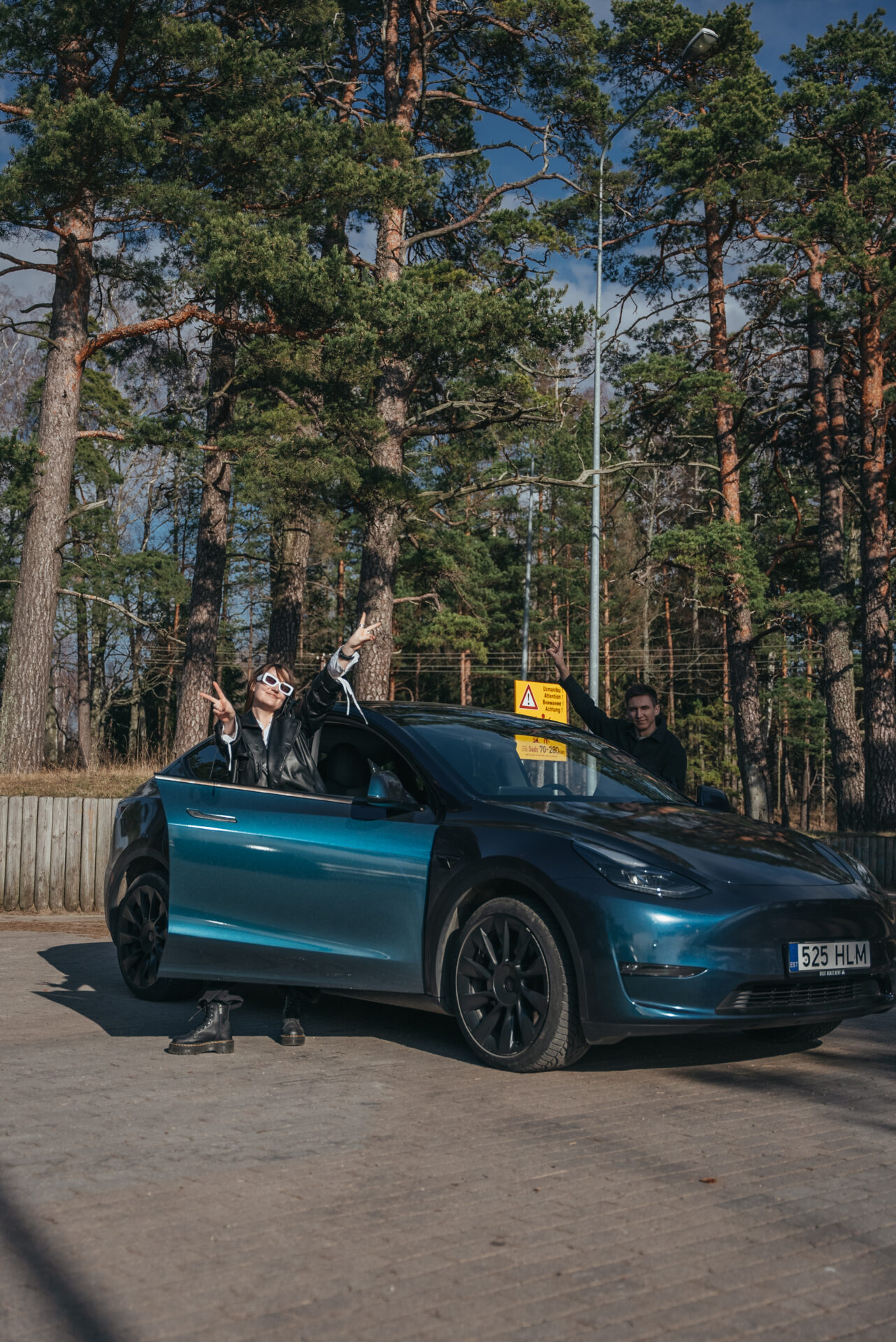 Tesla Road trip